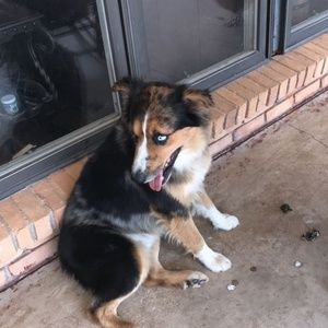 Meet your Posher, Jacob